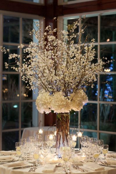 Hydrangea centerpiece at event.